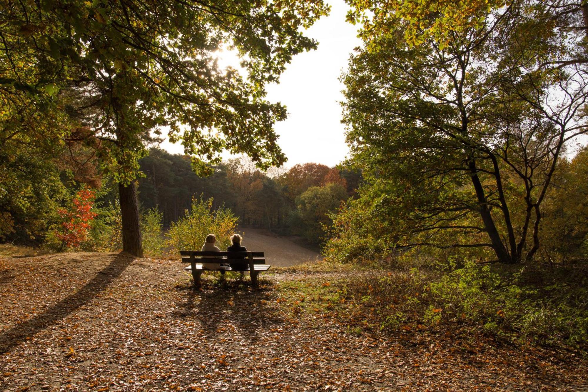Molecaten Park De Leemkule 哈特姆 外观 照片