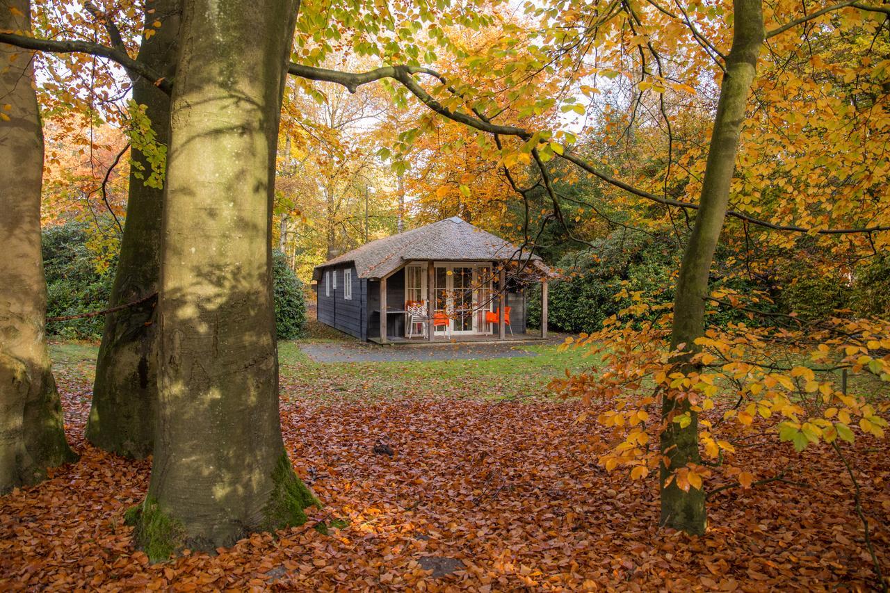 Molecaten Park De Leemkule 哈特姆 外观 照片